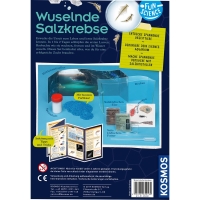 Kreatives Experimentier-Set mit salzkrebse, um die Urzeit lebendig werden zu lassen.