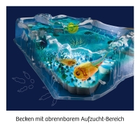 Experimentierkasten zum Züchten von Triops mit verschiedenen Utensilien und Anleitung