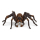 Harry Potter Figur von Aragog, 18cm groß, detailreich gestaltet mit realistischem Aussehen.