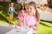 Barbie Surf-Puppe Ken & Hund Accy