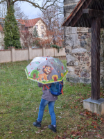 Idena Regenschirm Löwe aus Kunststoff Ø83x66cm
