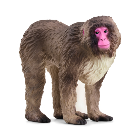 Schleich Wild Life Japanmakak Figur, 5,5cm groß, realistisches Design, detailreich gestaltet.