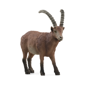 Figur Steinbock aus der Schleich Wild Life Kollektion, detailgetreu gestaltet, handbemalt, 3,2cm groß.