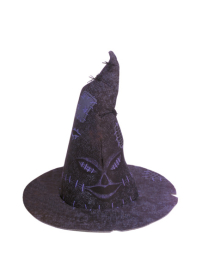 Sprechender Hut Harry Potter lila/schwarz