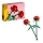LEGO Creator Rosen Set mit verschiedenen Bausteinen zur kreativen Gestaltung von individuellen Blumenarrangements.