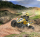 Revell RC Quad Dust Racer