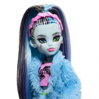 Puppe Monster High Creepover Frankie