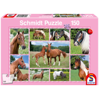 Puzzle Pferdeträume mit 150 Teilen, für...