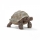 Gelbe Giant Schildkröte Figur von Schleich in Lebensgröße für Tierliebhaber und Sammler.