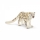 Handbemalter Schleich Schneeleopard aus der Wild Life Serie, 4,3 cm groß.