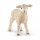 Kuscheliges weißes Schleich Farm World Lamm mit realistischer Darstellung, perfekt für Tierliebhaber.