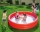 Bestway Pool 3-Ring Uni Ø183x33cm sortiert