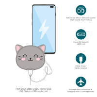 Blaue Powerbank mit verschiedenen Anschlüssen und...