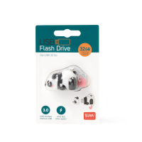 Silberner USB-Stick 3.0 mit 32 GB Speicherkapazität...