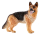 Brauner Schäferhund aus der Schleich Farm World Serie, 5,6 cm groß, detailgetreu gestaltet.