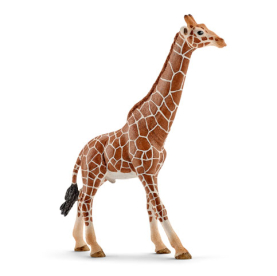 Giraffenbulle aus der Schleich Wild Life Kollektion, 17 cm groß und detailgetreu gestaltet.