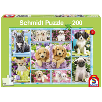 Buntes Puzzle mit 200 Teilen und niedlichem Welpen-Motiv.