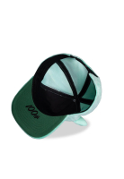 Pokémon - Bisasam Novelty Cap