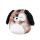 Squishmallows Plüsch Hund braun 30cm