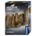Brettspiel Das Verlies entdeckt - Die Story Adventure Games mit spannender Story und abwechslungsreichem Gameplay.