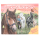 DEPESCHE Stickerbuch Create Your Happy Horses