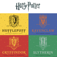 Harry Potter Schokofrosch Schlüsselanhänger
