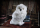 Harry Potter Hedwig Plüsch