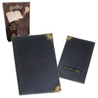Harry Potter Tom Riddles Tagebuch