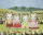 Sylvanian Spielfiguren Schokoladenhasen Familie