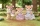 Sylvanian Families Reh Familie