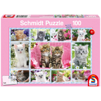 Puzzle mit süßen Katzenbabys und 100 Teilen.
