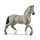 Brauner Selle Français Hengst von Schleich mit detaillierter Bemalung und authentischem Design.