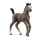 Braunes Schleich Horse Club Selle Français Fohlen Figur aus Kunststoff mit realistischen Details und handbemalter Oberfläche.