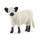 Handbemaltes Schleich Farm World Galloway Rind aus Kunststoff in naturgetreuer Optik, 9cm groß.