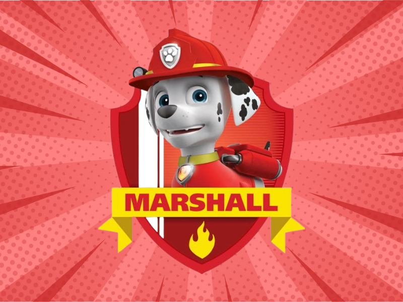 Marshall von PAW Patrol