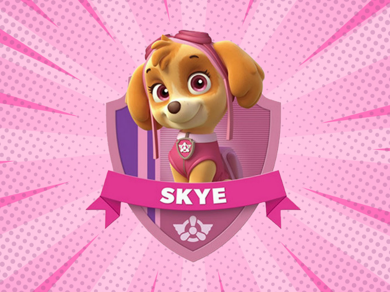 Skye von PAW Patrol